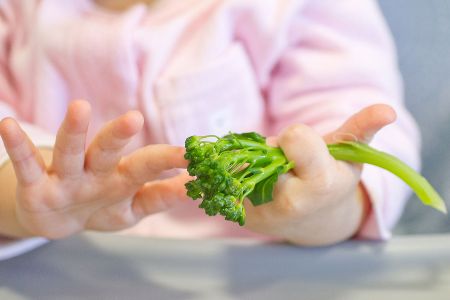 Wat Is De Rapley Methode Consumentenbond